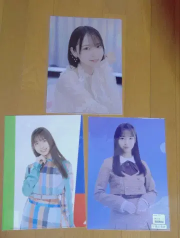 히나타자카46 와타나베 리나 클리어 파일 3장 세트