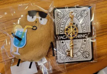 미야노 마모루 VACATIONING! 이것+키 참 요코하마 2일차