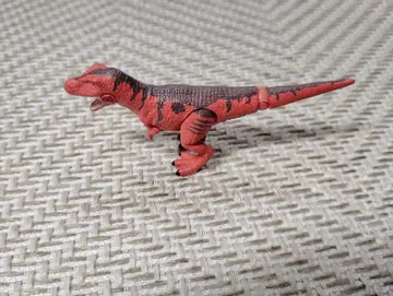 아니아 티라노사우루스 (유체) 후쿠이현 한정판