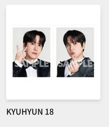 SUPER JUNIOR 랜덤 토이 프로필 사진 규현