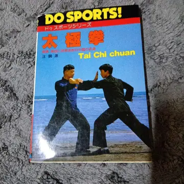 중국 무술 [ 태극권 DO SPORTS 왕조원 ]