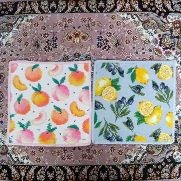 [ B급 재구매 고객 팔로워 한정판 ] 페이러 2장