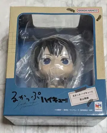 하이큐!! 룩업 카게야마 토비오