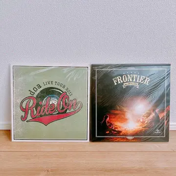 [ 미개봉 새상품 ] doa 투어 팜플렛 2권 세트