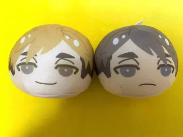 하이큐!! 미야 아츠무 미야 오사무