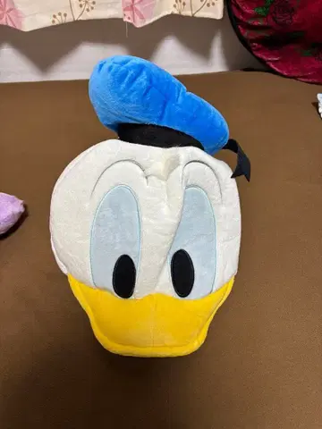 도널드 덕 팬 캡