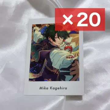 앙스타 파샤츠 미카