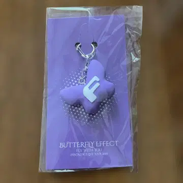 BUTTERFLY EFFECT 효고 한정판 러버 키링