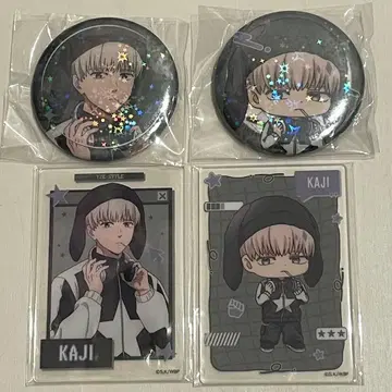 WIND BREAKER 윈드브레이커 윈브레 Y2K 스타일 카지 렌