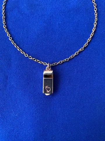 포메라토 Dodo 참 호이슬 RG