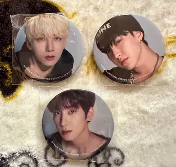 SEVENTEEN 세븐틴 DFESTA DICON 캔뱃지