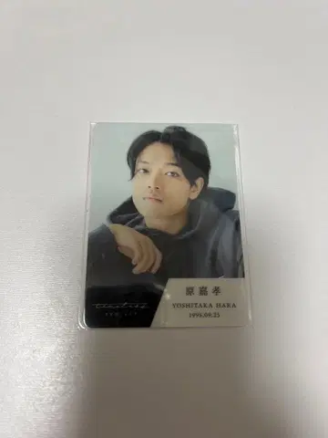 timelesz 하라 요시타카 타입 트레이딩 카드