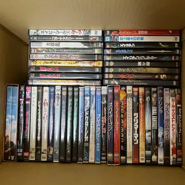 서양화 DVD 100개 세트