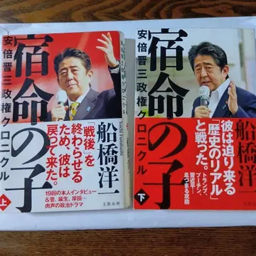 아베 신조 정권 크로니클 숙명의 아이 상 하