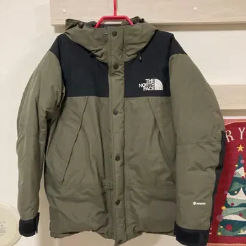 THE NORTH FACE GORE-TEX 다운 자켓 노스페이스