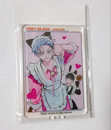 에이스테 애니카페 애니메이트 특전 미지 수아