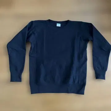 Champion 챔피온 리버스 위브 C8-Y001