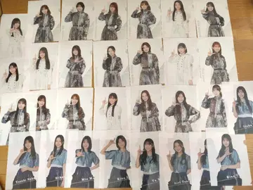 사쿠라자카 복권 클리어 파일 30장 세트 미사용 새상품