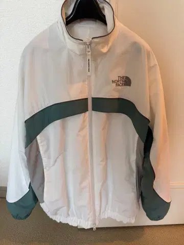 THE NORTH FACE 마운틴 후드티 화이트/그린