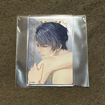 잘생긴 왕자 클라비스 CYBIRD SHOP 2025 아크릴 카드