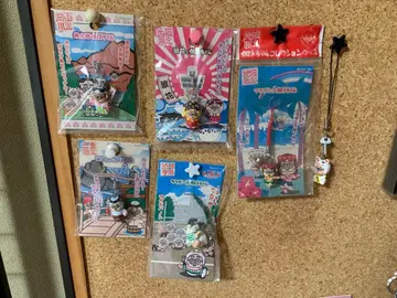 카토짱 지역 한정 스트랩 6개 세트