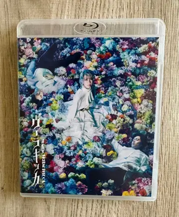 TRUMP 시리즈 Blu-ray 베라키카