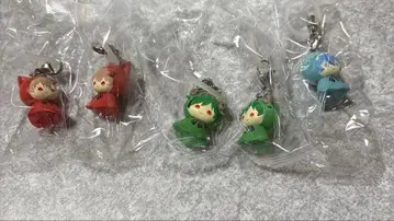 시쿠포니 메지루시 액세서리