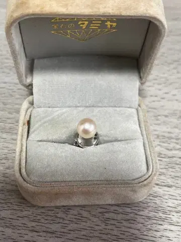 진주와 은제 넥타이핀 체인 포함