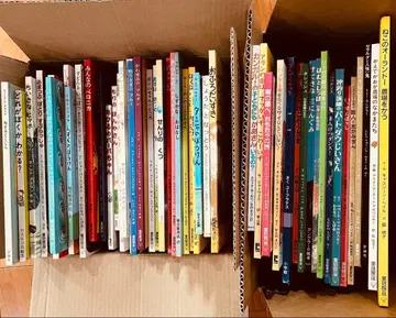 그림책 세트 묶음 판매 50권