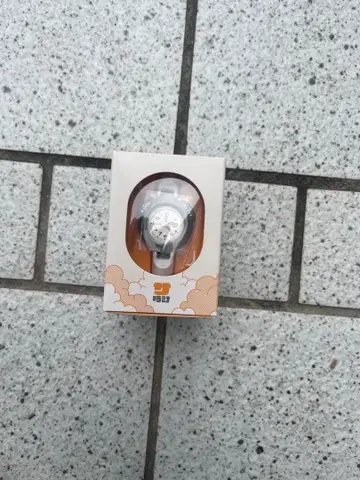 사우나 시계 사우나 시계 SAN-100H-7BJR 카시오 사우너