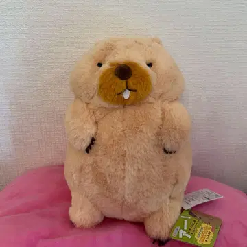 마모트의 더더 보바 군 봉제 인형