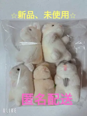 미니 반려동물 클럽 나의 햄스터 컴플리트 세트