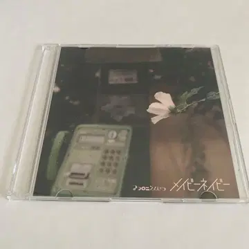 마카로니 연필 메이비 네이비