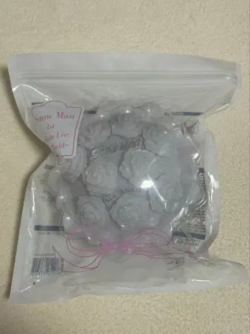 Snow Man 응원봉 Snow World