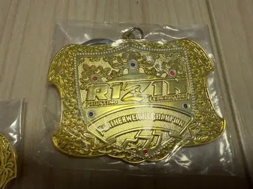 RIZIN 제일복권 D상 페더급 메탈 참
