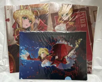 FGO Fate 클리어 파일 네로