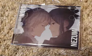 NO.6 레이어드 아크릴 아트 노이타미나 어패럴 시온 쥐