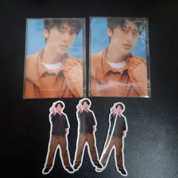 라이라이 트레이딩 카드