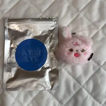 공식 day6 필운 마스코트 키링