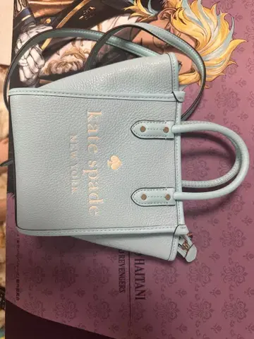 케이트 스페이드 핸드백 2Way 에라 미니 토트백