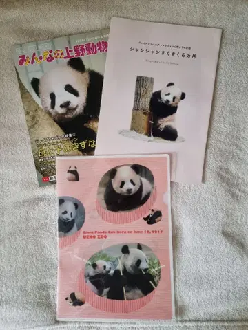 샹샹 쑥쑥 6개월 우에노 동물원 팸플릿 클리어 파일