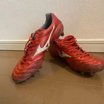 미즈노 모나르시다 네오 레드