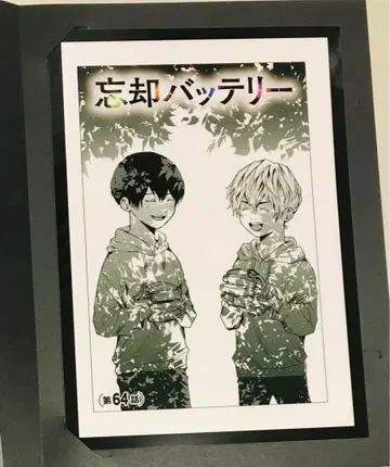 망각 배터리 메탈 플레이트 64화