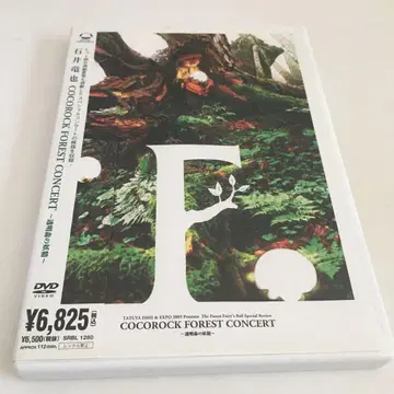 이시이 타츠야 COCOROCK FOREST CONCERT