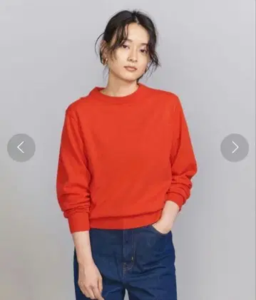 울 캐시미어 천축 크루넥 니트 풀오버 -워셔블-