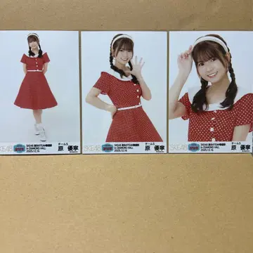 SKE48 하라 유네 마후유노 TEAM 가요제 랜덤 브로마이드 컴프