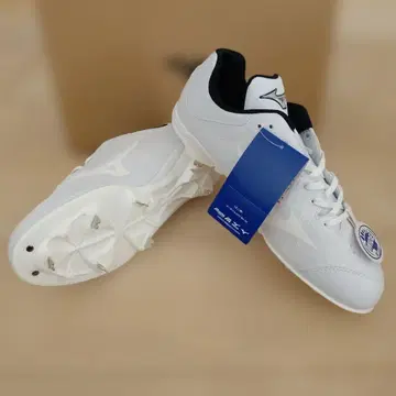 미즈노 라이트 레보바디 2 27.0cm 와이드 화이트