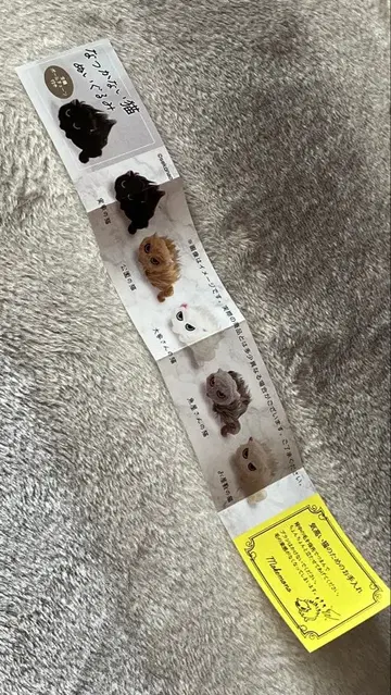 가챠폰 따르지 않는 고양이