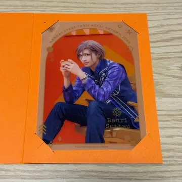 셋츠 반리 미니 클리어 포트레이트 에이스테