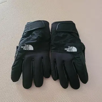 THE NORTH FACE 장갑 그로브